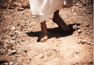 Comme ils sont beaux les pieds...