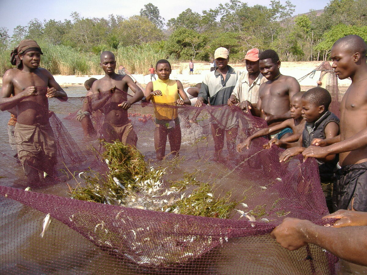 pescacongo