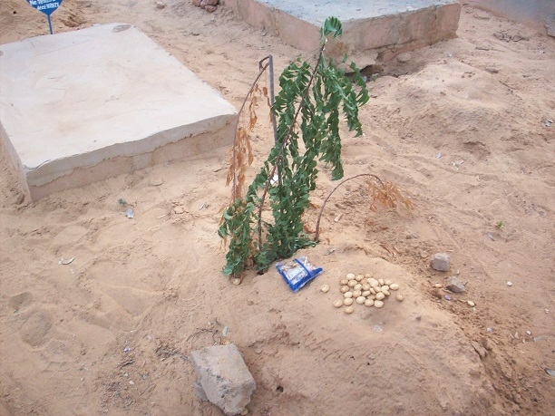 2 11 021 niamey 8