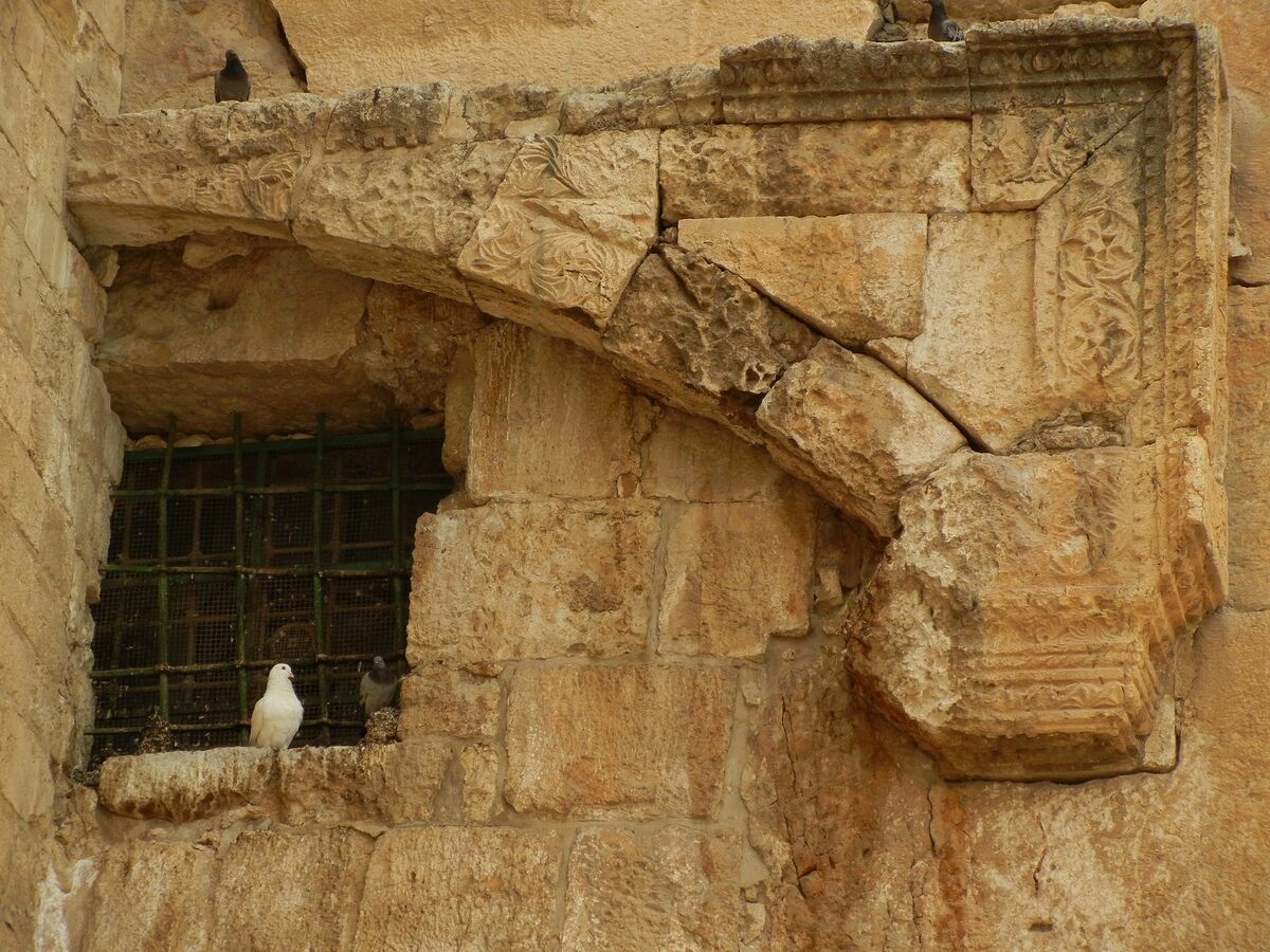 templea