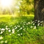 Il &ldquo;potere dell'amore&rdquo;