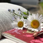 Dove Troviamo le Parole di Vita Eterna?