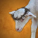Perch&eacute; non mi hai rifiutato tuo figlio ti colmer&ograve; di benedizioni