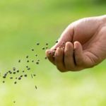 LA POTENZA DELLA FEDE