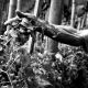 Germogliare e crescere Germogliare e crescere