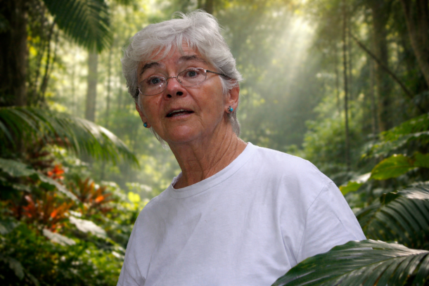 Dorothy Stang : la révolutionnaire de la miséricorde