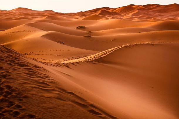 Une pandémie de sable. La Covid au Sahel
